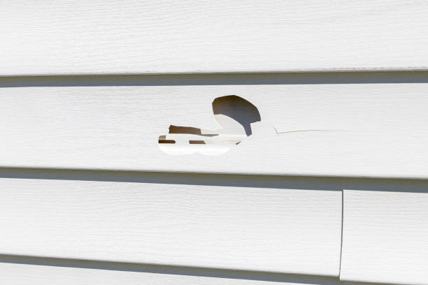Professional Siding Installation & Repair in Valley, NE